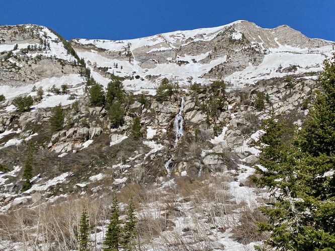 View of Silver Creek Falls (approx. 190-feet tall)