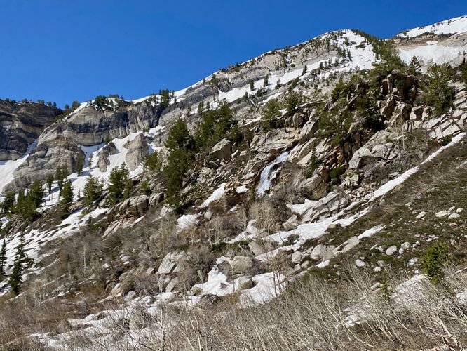 Silver Creek Falls cascades down adjacent to the trail