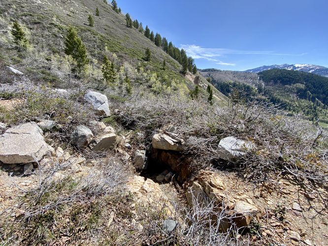 Old mine shaft?