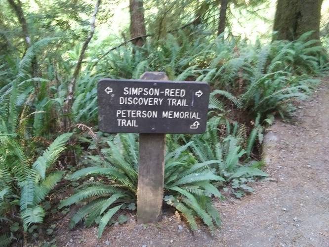 Picture 2 of Simpson Reed Trail