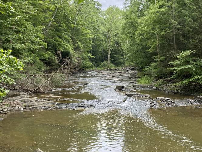 Creek view