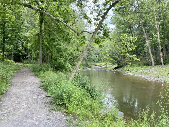 Trail runs along Six Mile Creek