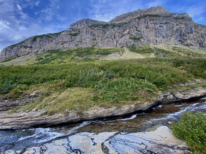 Piegan Mountain's alpine cliffs along Siyeh Bend Falls