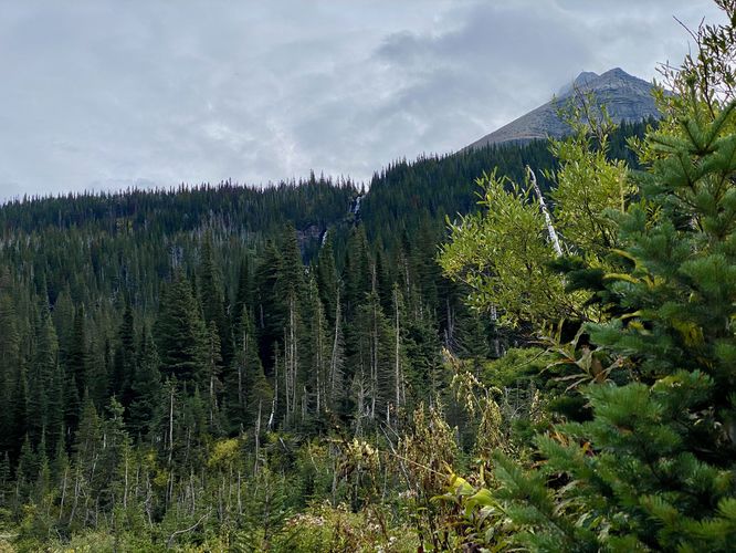 View of Siyeh Creek Falls overhead
