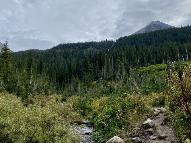View of Siyeh Creek Falls overhead