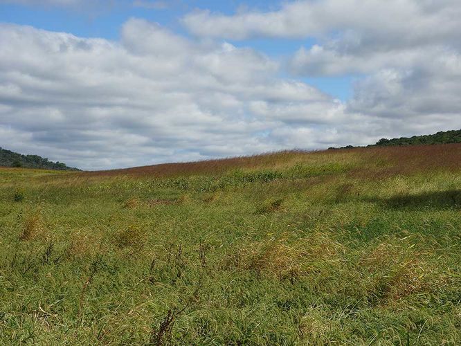 Picture 3 of Sky Meadows Farms and Lost Mountain Hike 093017