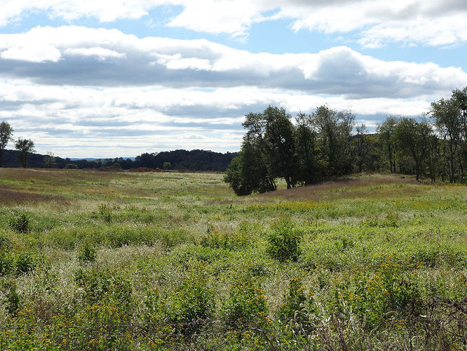 Picture 7 of Sky Meadows Farms and Lost Mountain Hike 093017