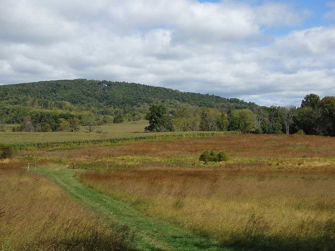 Picture 8 of Sky Meadows Farms and Lost Mountain Hike 093017