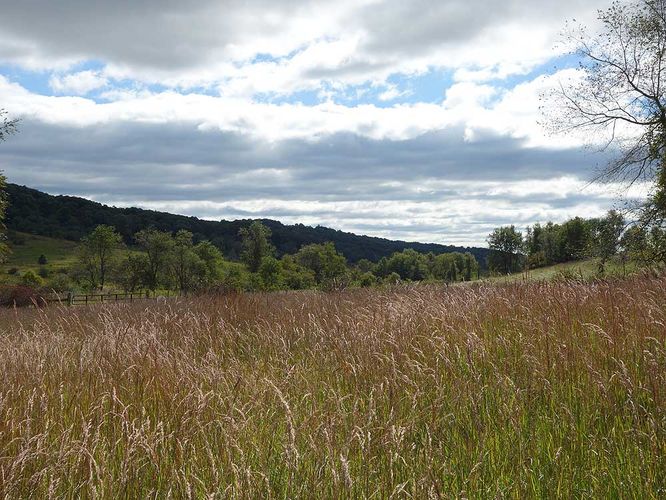 Picture 9 of Sky Meadows Farms and Lost Mountain Hike 093017
