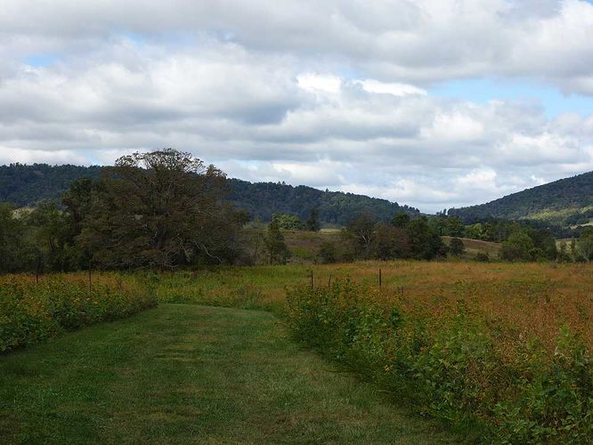 Picture 13 of Sky Meadows Farms and Lost Mountain Hike 093017