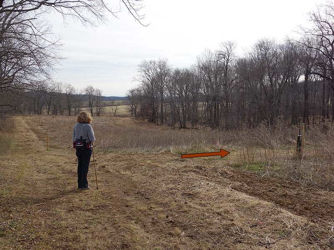 Picture 8 of Sky Meadows State Park Hike 010315