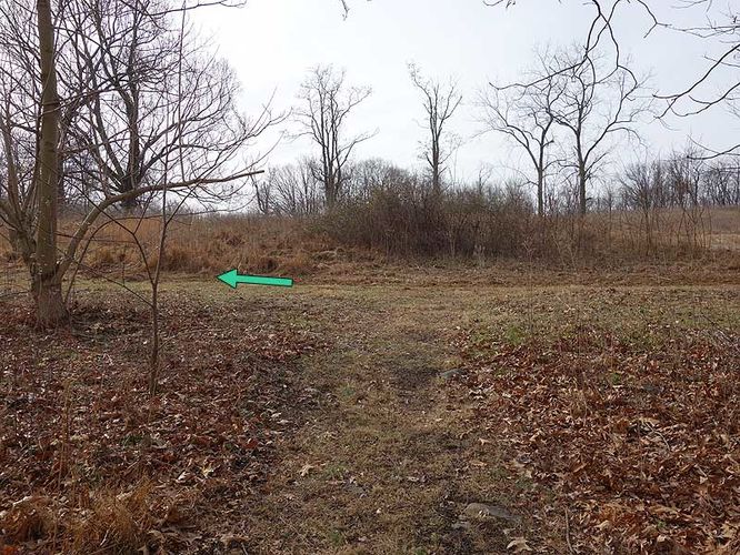 Picture 10 of Sky Meadows State Park Hike 010315