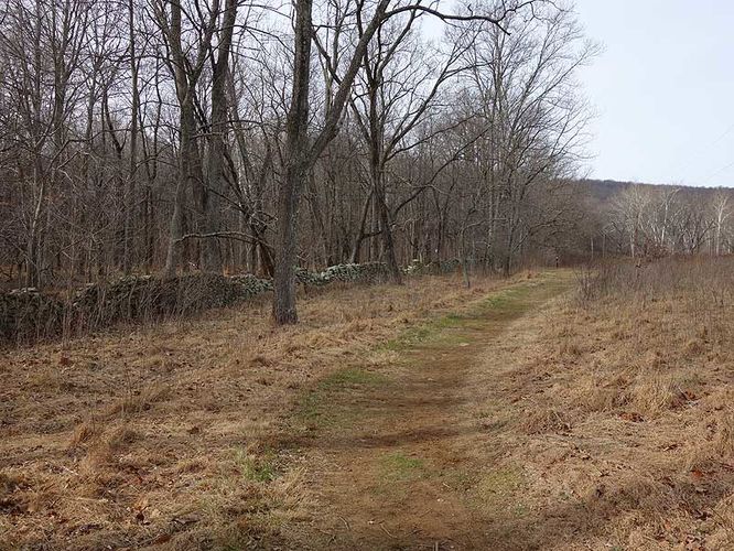 Picture 14 of Sky Meadows State Park Hike 010315