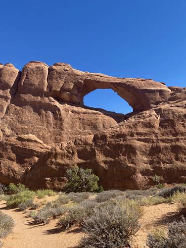 View of Skyline Arch