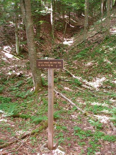 Picture 15 of Slabcamp Run and Locust Spring Hike 061607