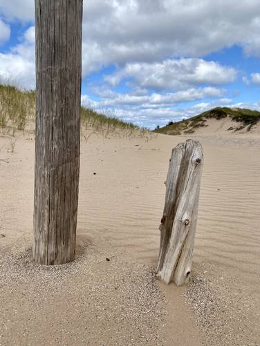 Posts in the sand with wind patterns on the trail to Sleeping Bear Point