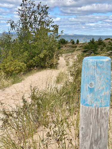 Faded blue blaze marker along the Sleeping Bear Point trail