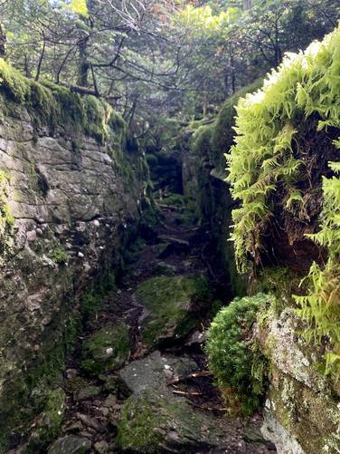 Moss-covered ledges
