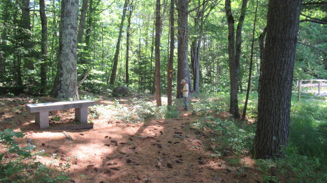 Trail Junction just past the bench