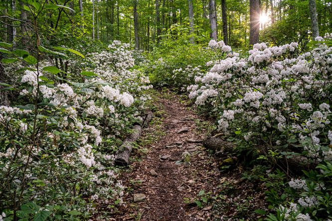 Picture 11 of Smiths Knob Hike