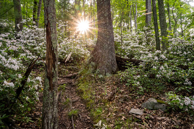 Picture 12 of Smiths Knob Hike