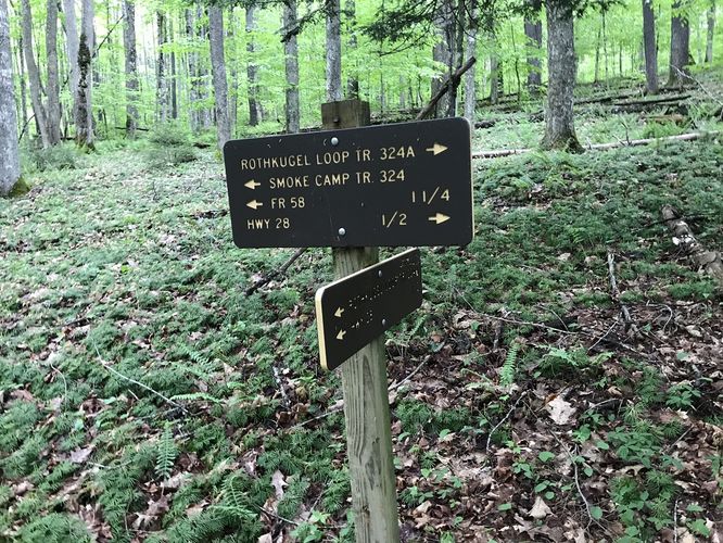 Picture 6 of Smoke Camp Knob Hike 051819
