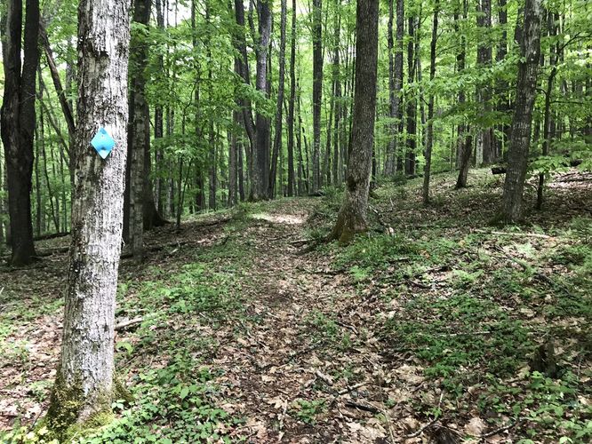 Picture 7 of Smoke Camp Knob Hike 051819
