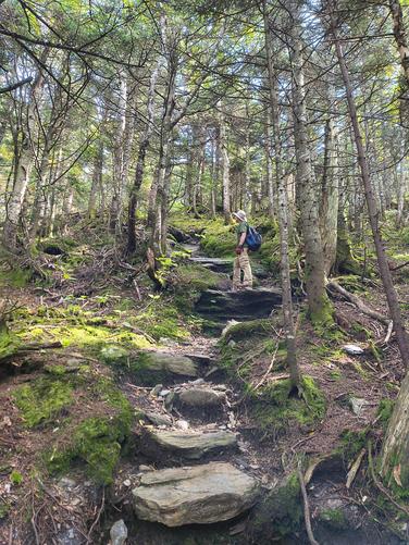 Heading back to the main trail