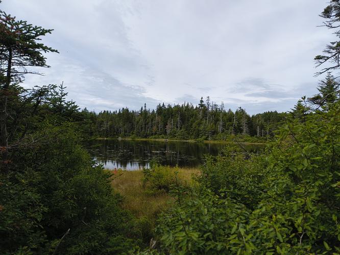 Sterling Pond viewed from the trail 
