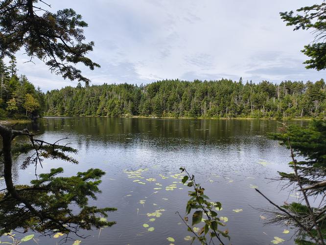 Sterling Pond 