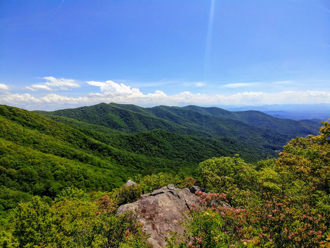 Default image for Snowball Trail Hike, a 7.0-mile trail in Barnardsville, NC (US)