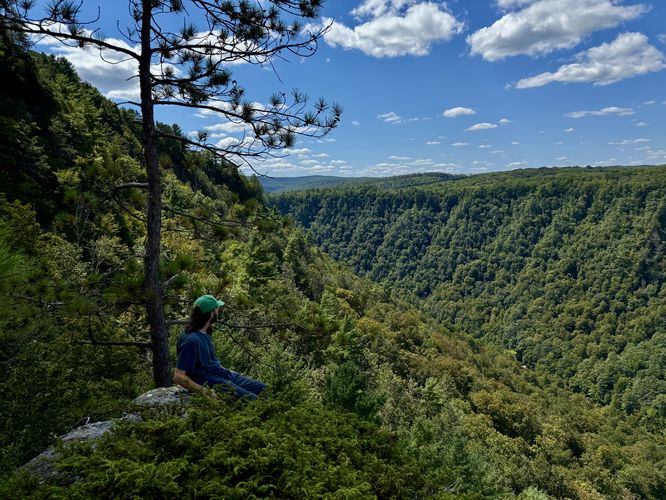 Juniper Rock Overlook