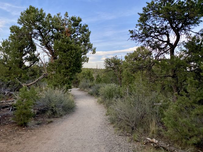 Mostly-smooth surface of the Soda Canyon Overlook Trail