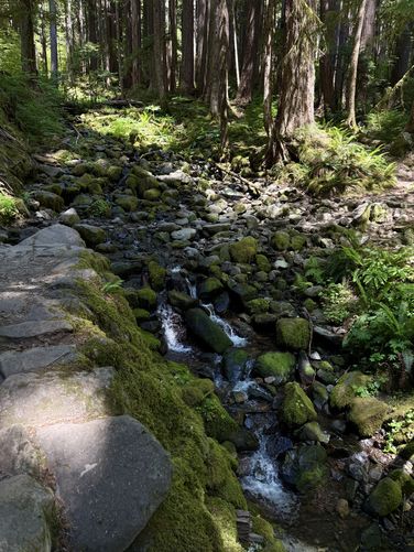 Small hillside waterfall