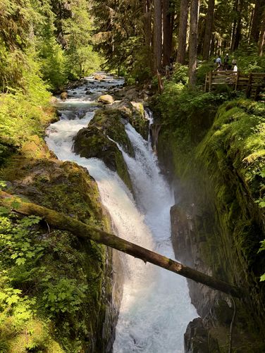 Portrait view of Sol Duc Falls