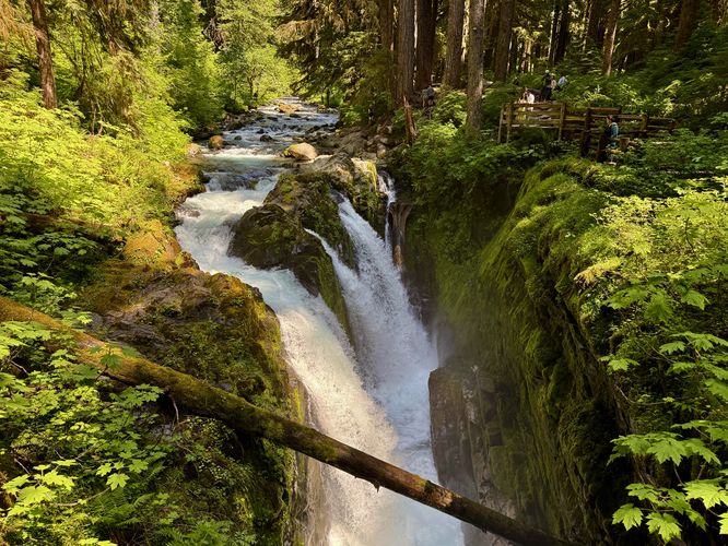 Default image for Sol Duc Falls Trail, a 1.7-mile trail in Port Angeles, WA (US)
