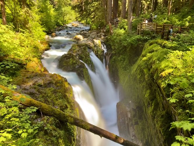 Long exposure of Sol Duc Falls