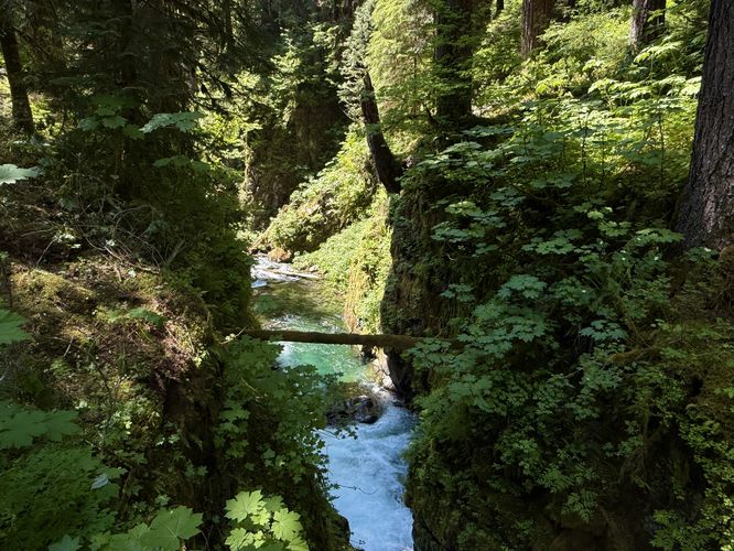 View of Sol Duc River's turquoise waters