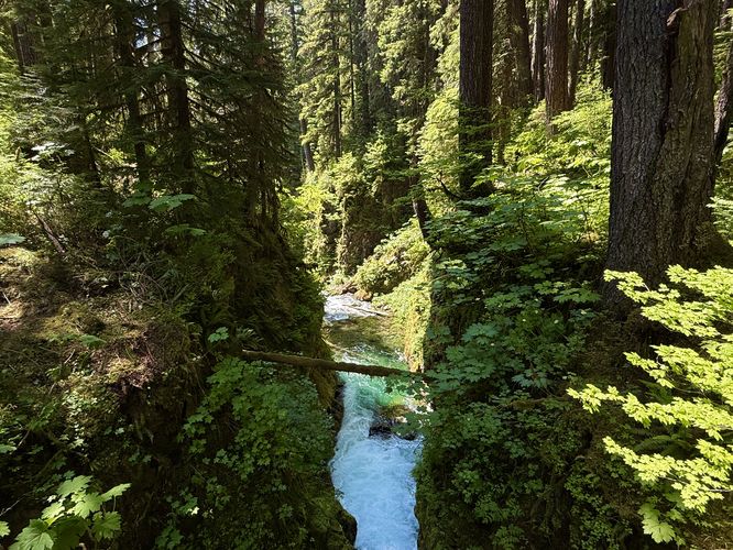View of the Sol Duc River from the footbridge