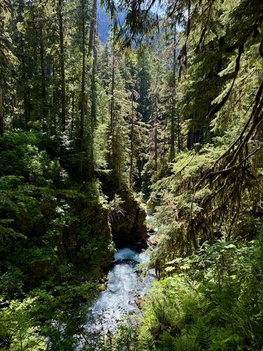 Picture 17 of Sol Duc Falls Hike