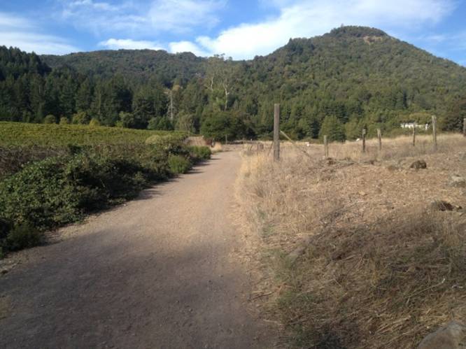 Sonoma Mountain Trail