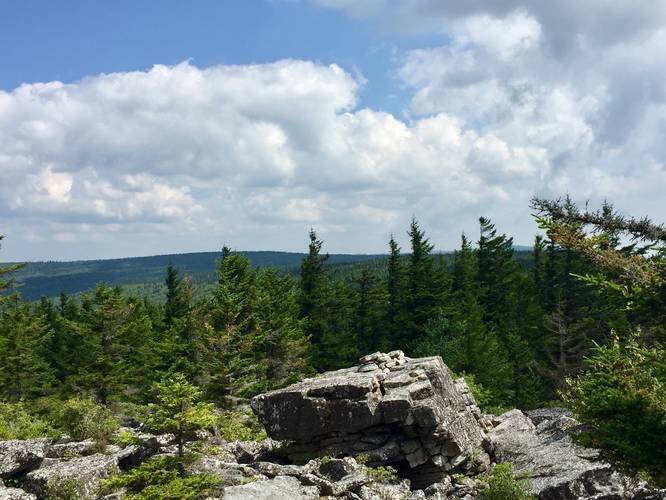View of Dolly Sods looking north