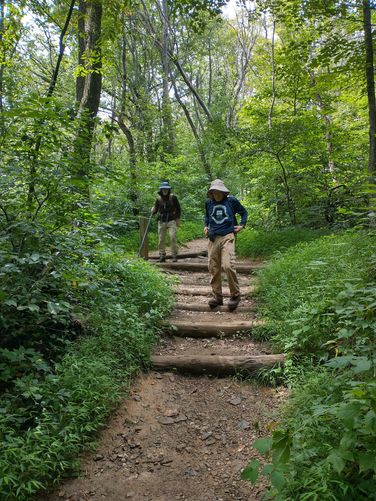 Steps along the trail make the descent and ascents a bit easier
