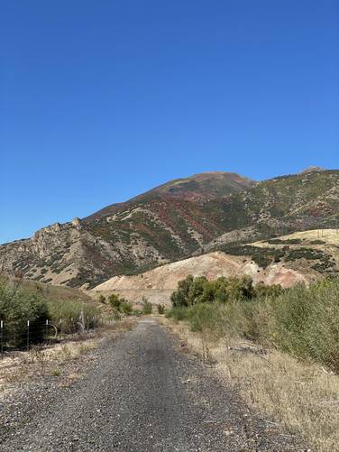 Nearby mountains with autumn foliage