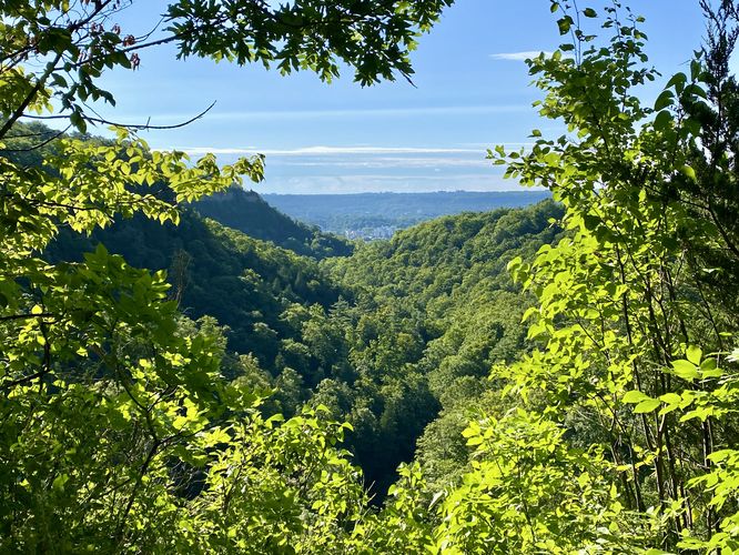 Spencer Gorge Overlook
