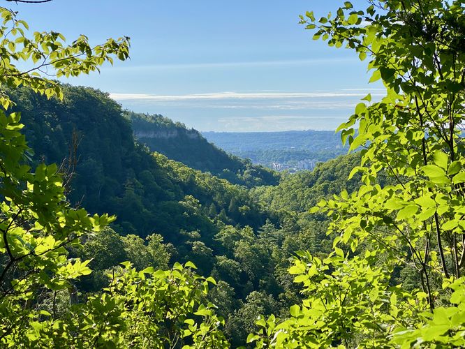 Default image for Spencer Gorge Overlook, a 0.2-mile trail in Hamilton, ON (CA)