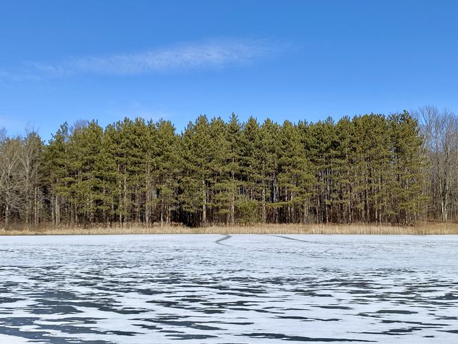 View of Spencer Pond and tall evergreens
