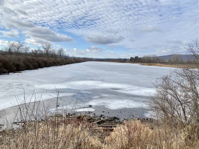 View of Lowe Pond (facing west)