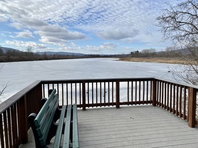 Lowe Pond lookout