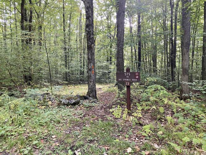 Trailhead for STS to Spook Hollow